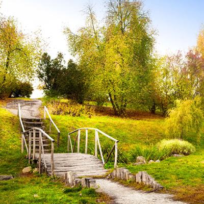 狗万官网app下载